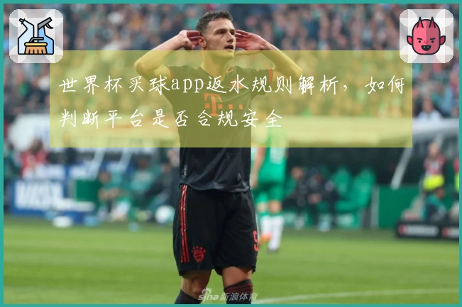 世界杯买球app返水规则解析，如何判断平台是否合规安全