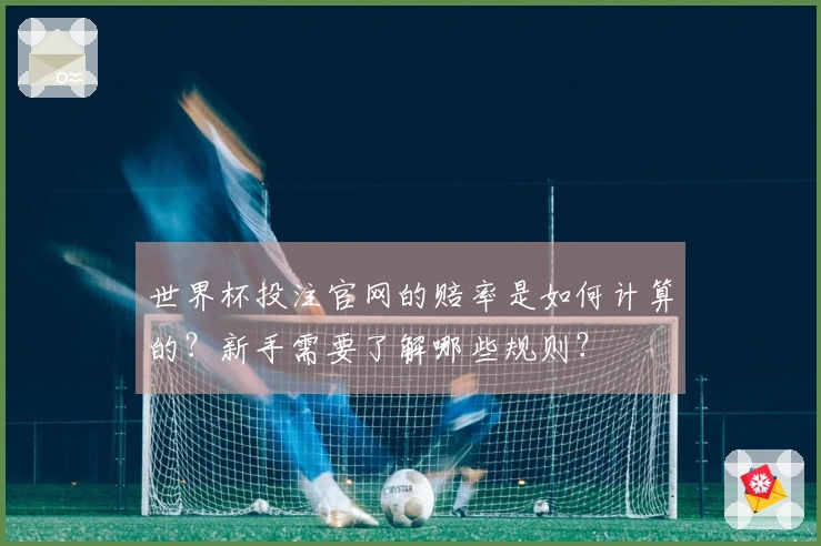世界杯投注官网的赔率是如何计算的？新手需要了解哪些规则？