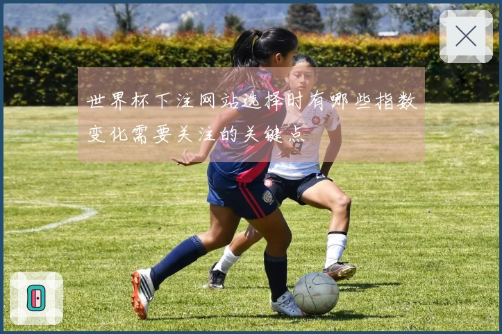 世界杯下注网站选择时有哪些指数变化需要关注的关键点