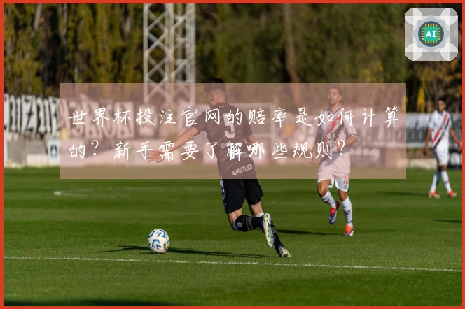 世界杯投注官网的赔率是如何计算的？新手需要了解哪些规则？