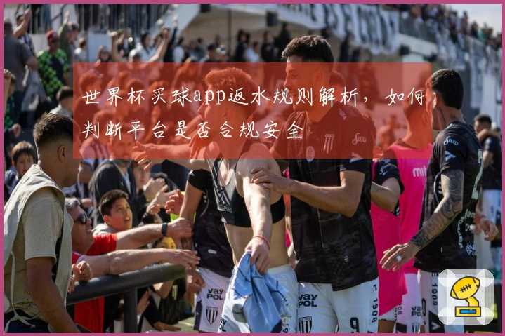 世界杯买球app返水规则解析，如何判断平台是否合规安全