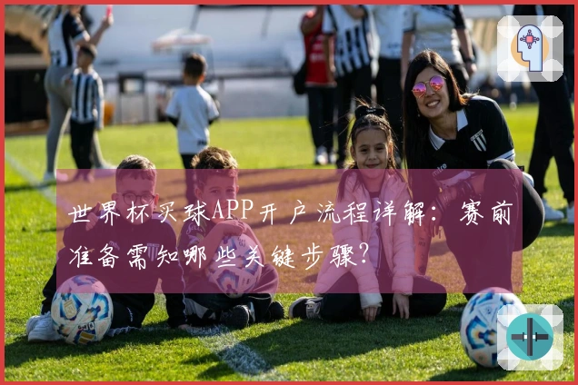 世界杯买球APP开户流程详解：赛前准备需知哪些关键步骤？
