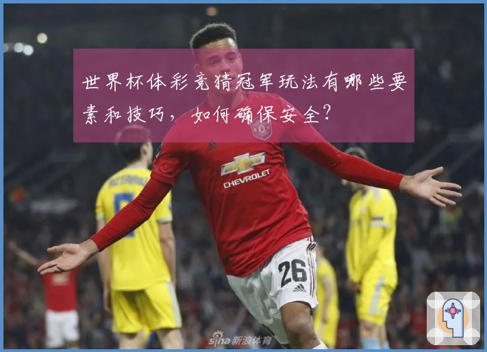 世界杯体彩竞猜冠军玩法有哪些要素和技巧，如何确保安全？